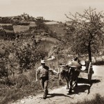 Voci dalle Langhe, un documento storico pubblicato da Baima-Ronchetti