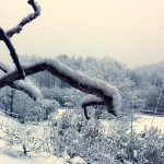neve in Piemonte